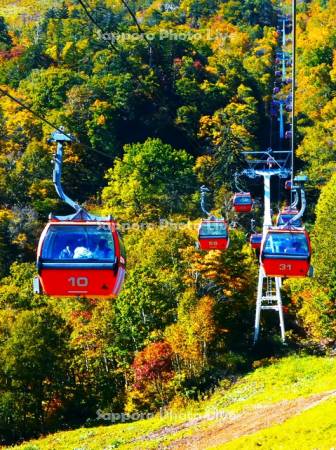 札幌国際スキー場　紅葉ゴンドラ