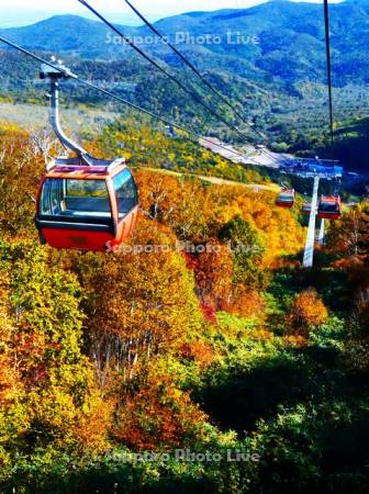 札幌国際スキー場　紅葉ゴンドラ