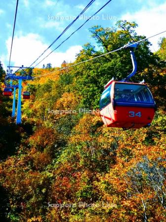 札幌国際スキー場　紅葉ゴンドラ