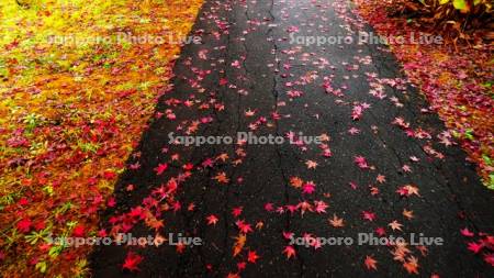 平岡樹芸センター