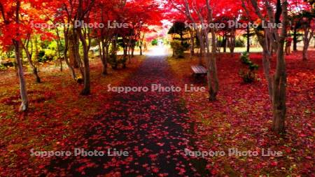 平岡樹芸センター