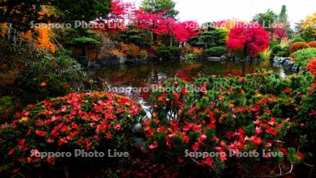 平岡樹芸センター